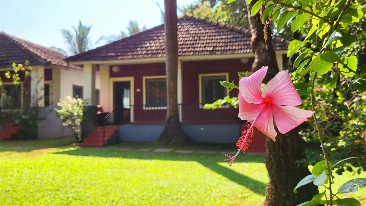 Garden Villa فاغاتور المظهر الخارجي الصورة