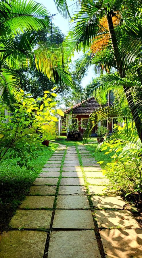 Garden Villa فاغاتور المظهر الخارجي الصورة